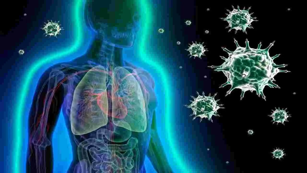 Summer Health Tips: వేసవిలో ఈ పండును రోజూ ఒకటి తినడం వల్ల ఏమవుతుందో తెలుసా..