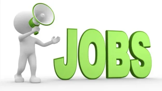  Job Offers: సర్టిఫికెట్‌తో వచ్చేయండి.. జాబ్‌తో తిరిగి వెళ్లండి..