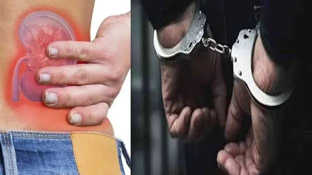 Kidney Racket Case: తెలంగాణ కిడ్నీ రాకెట్ కేసు.. కీలక సూత్రధారుల అరెస్ట్