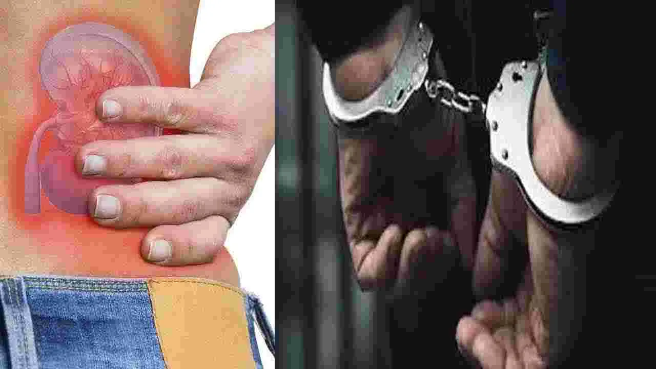 Kidney Racket Case: తెలంగాణ కిడ్నీ రాకెట్ కేసు.. కీలక సూత్రధారుల అరెస్ట్