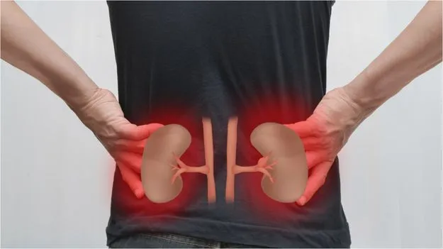Kidney Problem: వేసవిలో కిడ్నీలో రాళ్లు వచ్చే ప్రమాదం పెరుగుతుందా.. 