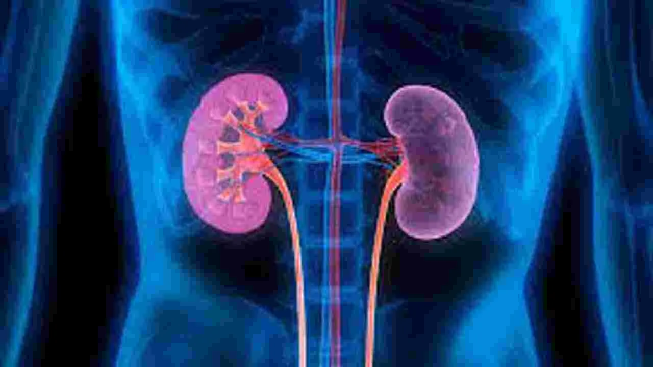 Health Tips: రోజుకు డజన్ గుడ్లు తింటున్నారా.. అయితే మీరు డేంజర్లో పడ్డట్లే..
