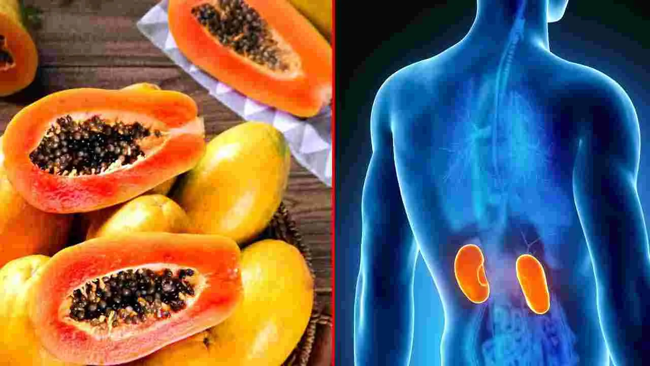 Papaya Seeds: బొప్పాయి తింటూ గింజలు పక్కన పడేస్తున్నారా.. వాటి లాభాలు తెలిస్తే.. 