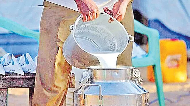 పాడి రైతుల నెత్తిన పాలు