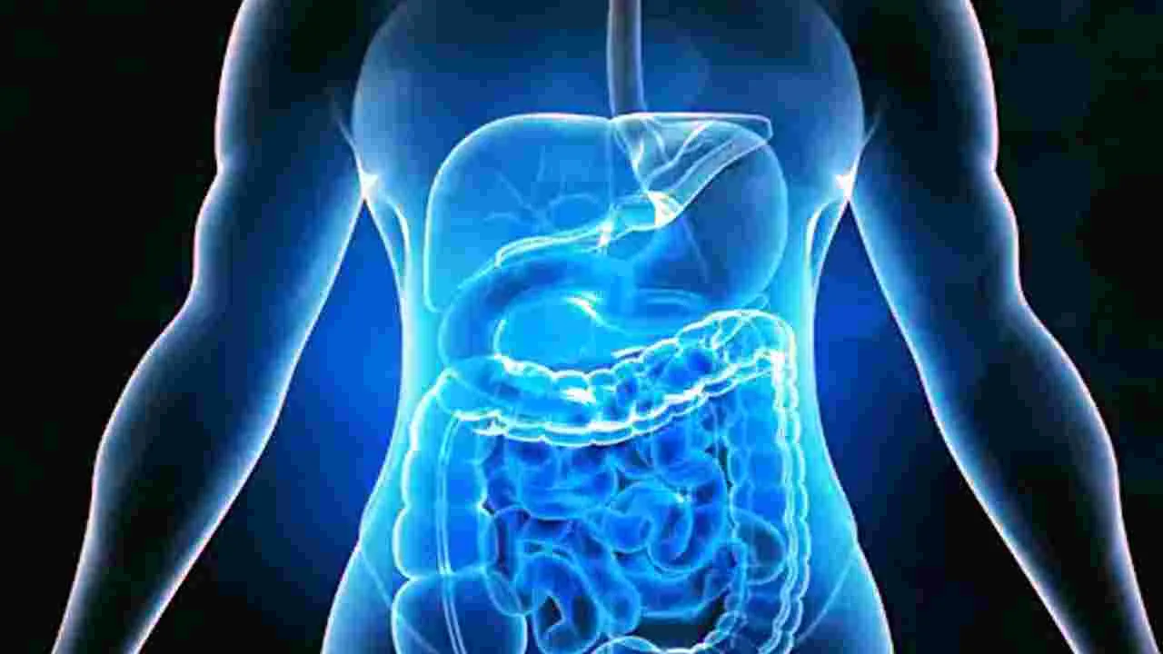 Soaked Cashew: నానబెట్టిన జీడిపప్పును తినడం వల్ల ఎన్ని లాభాలున్నాయో తెలుసా.. 