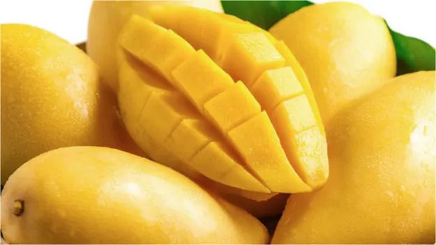 Mangoes: మామిడి పండ్లను ఫ్రిజ్లో ఉంచుతున్నారా.. ఈ విషయాలను గుర్తుంచుకోండి..