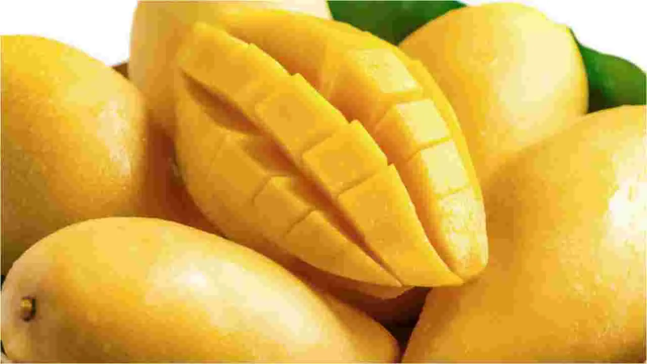 Mangoes: మామిడి పండ్లను ఫ్రిజ్‌లో ఉంచుతున్నారా.. ఈ విషయాలను గుర్తుంచుకోండి.. 