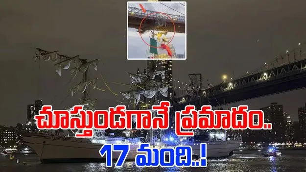 Navy Ship Video: బ్రిడ్జ్ను ఢీకొట్టిన నేవీ షిప్.. వీడియో చూస్తే మైండ్బ్లాంక్