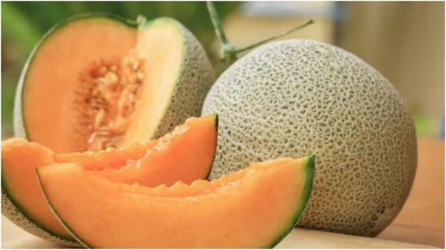 Muskmelon: కర్బూజ పండు తిన్న తర్వాత వీటిని తినకండి.. ఆరోగ్యానికి హానికరం..