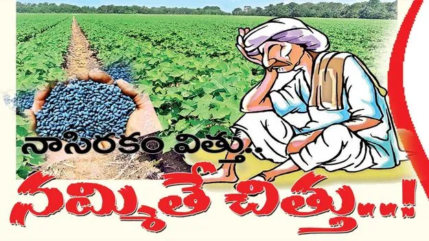 నాసిరకం విత్తు.. నమ్మితే చిత్తు..!