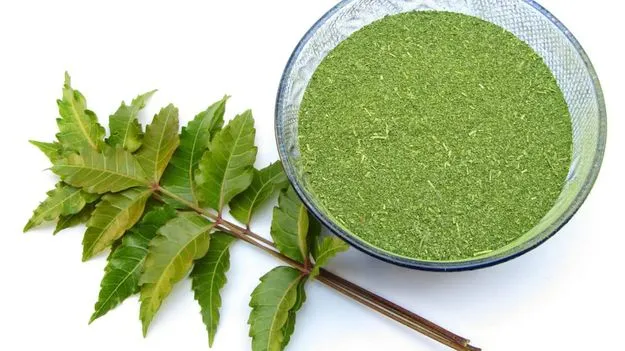 Beauty Tips: వేప ఆకులతో చర్మ సమస్యలకు చెక్..