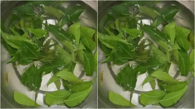 Neem Water Benefits: చర్మ సమస్యలతో బాధపడుతున్నారా.. ఈ నీటితో స్నానం చేస్తే సూపర్ బెనిఫిట్స్.. 