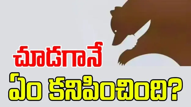 Optical Illusion: ప్రేమలో మీరు నిజాయితీపరులా లేక మోసగాళ్లా.. ఫొటో చూసి తెలుసుకోండి..