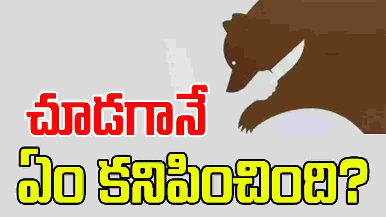 Optical Illusion: ప్రేమలో మీరు నిజాయితీపరులా లేక మోసగాళ్లా.. ఫొటో చూసి తెలుసుకోండి..