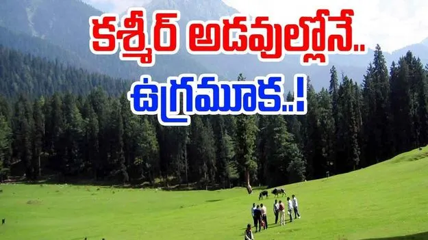 Pahalgam Terror Attack: కశ్మీర్ అడవుల్లోనే.. పహల్గామ్ ఉగ్రవాదులు !