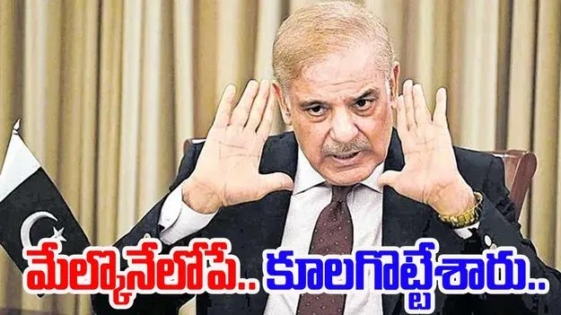 Shehbaz Sharif: మేం దాడి చేసేలోపే.. బ్రహ్మోస్‌తో కొట్టారు