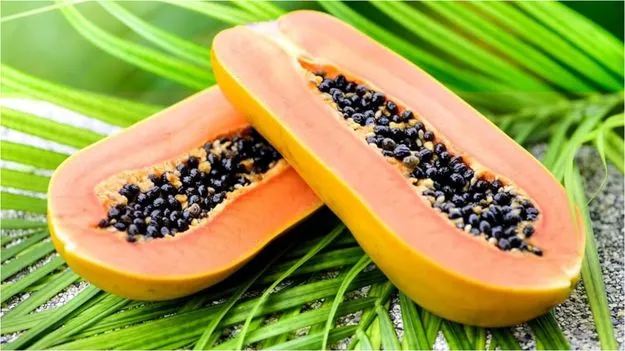 Papaya Seed Benefits: ఈ విత్తనాలు పనికిరావని పారేస్తే పొరపాటే.. దీని ప్రయోజనాలు తెలుస్తే ఆశ్చర్యపోతారు..