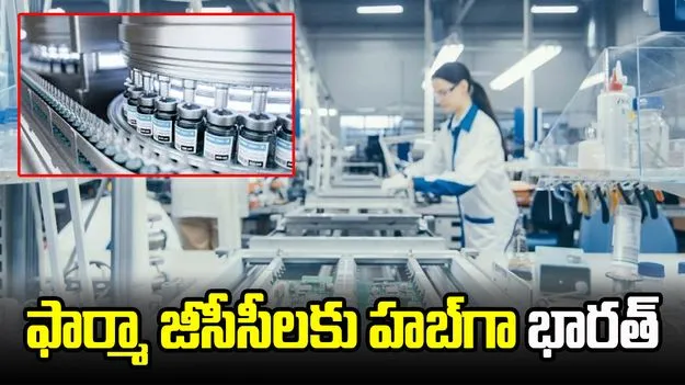 India a Hub for GCCs: ఫార్మా జీసీసీలకు హబ్గా ఇండియా