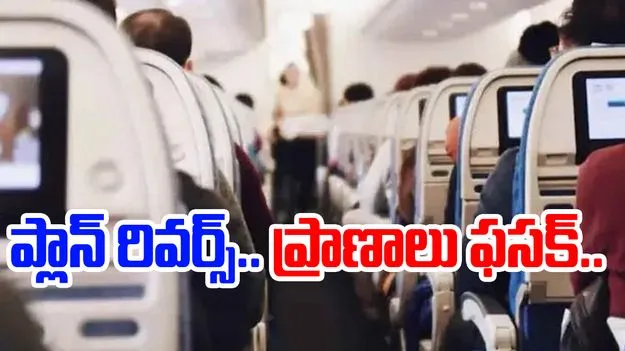 విమానం హైజాక్ చేయాలనుకున్నాడు.. తోటి ప్రయాణికుడి చేతిలో చచ్చాడు..