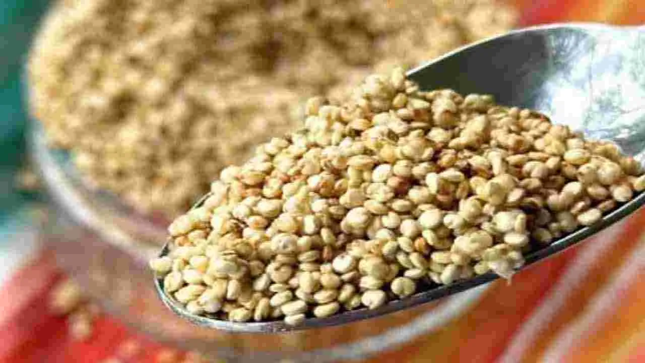 Protein Food: గుడ్ల కంటే ఎక్కువ ప్రొటీన్ లభించే 7 ఆహారాలివే..