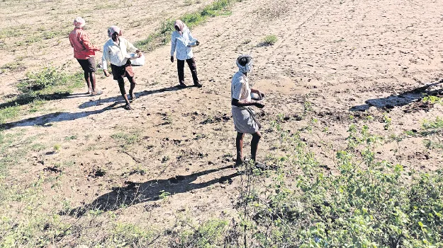 సాగుకు సానుకూలం