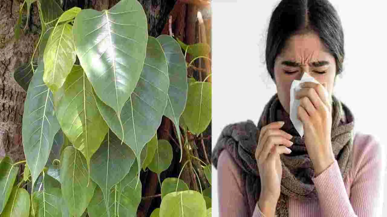 Summer Health Tips: వేసవిలో ముక్కు నుంచి రక్తం కారుతోందా.. అయితే ఇలా చేయండి..