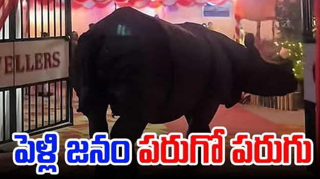 Viral Video: పెళ్లికొచ్చిన అనుకోని అతిథి.. షాక్ అయిన జనం..
