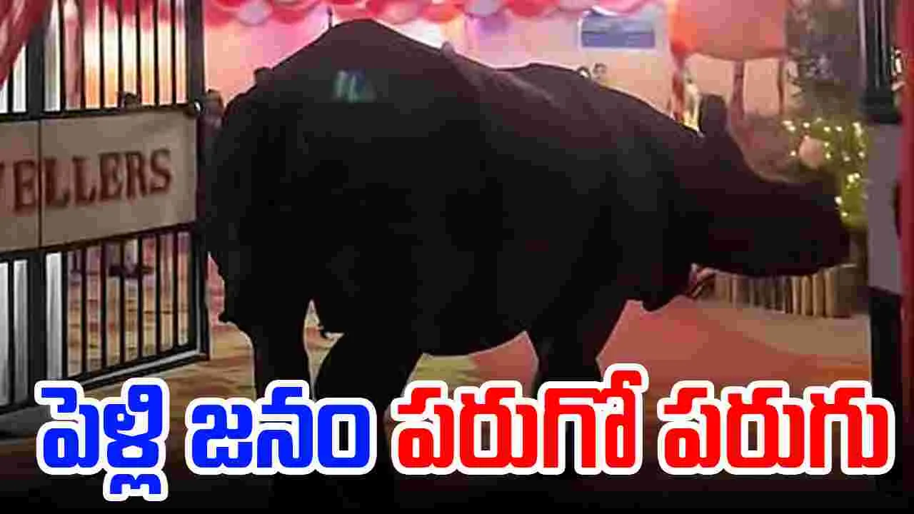 Viral Video: పెళ్లికొచ్చిన అనుకోని అతిథి.. షాక్ అయిన జనం.. 