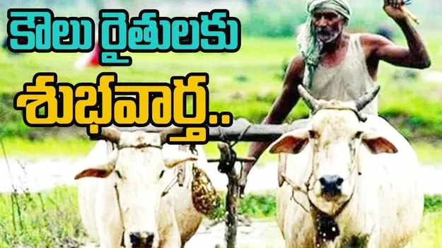 Good News: కౌలు రైతులకూ ‘అన్నదాత సుఖీభవ’ పథకం