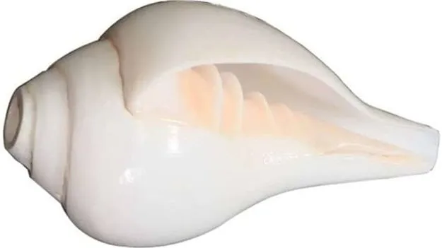 Vastu Tips Of Shell: వాస్తు దోష నివారణకు శంఖం ఎలా సహాయపడుతుంది..