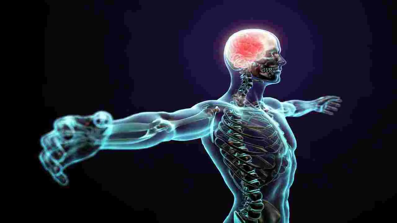 Health Tips: మూత్రాన్ని బలవంతంగా ఆపుతున్నారా.. అయితే ఈ సమస్యలు తప్పవు.. 