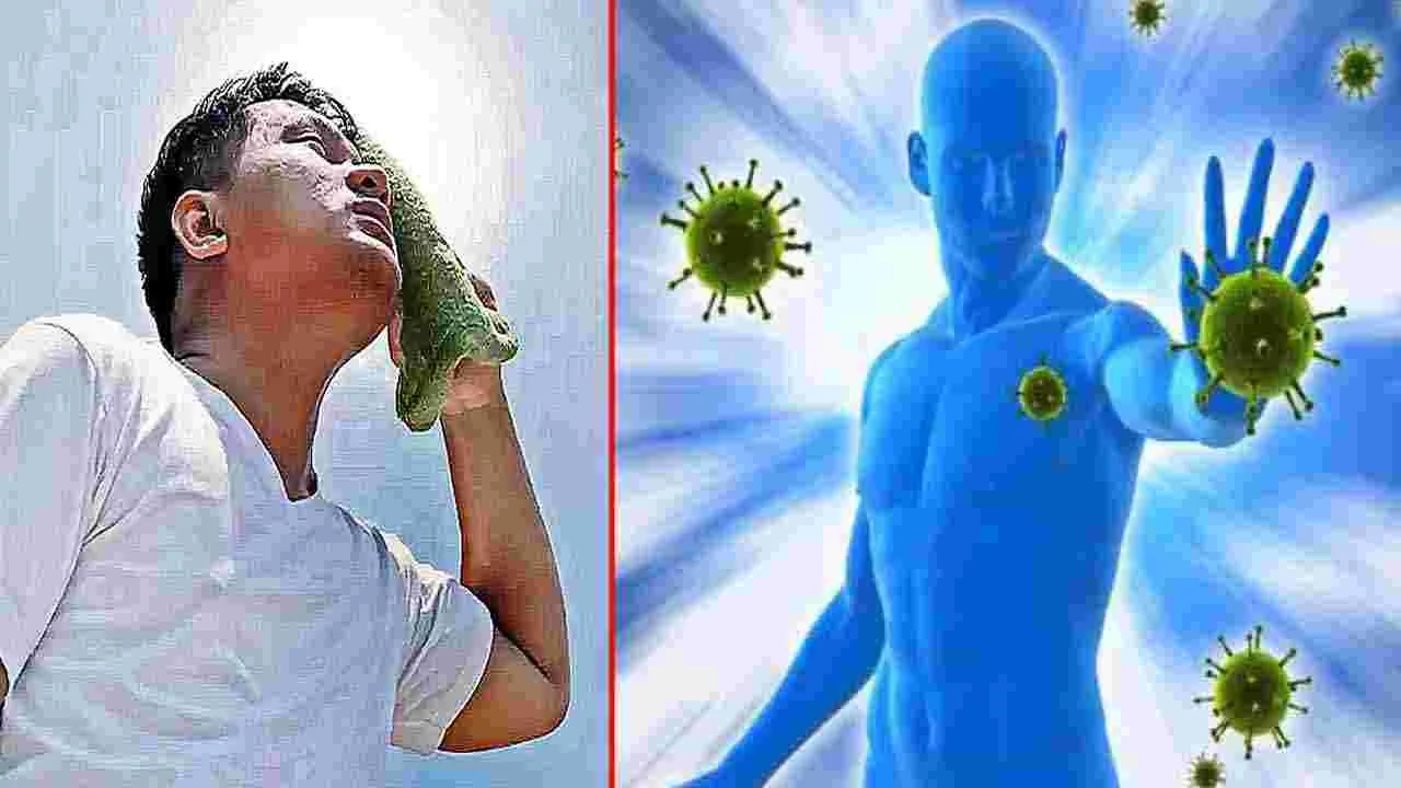 Summer Health Tips: వేసవిలో రోగనిరోధక శక్తి పెరగాలంటే.. ఇవి తినండి చాలు.. 