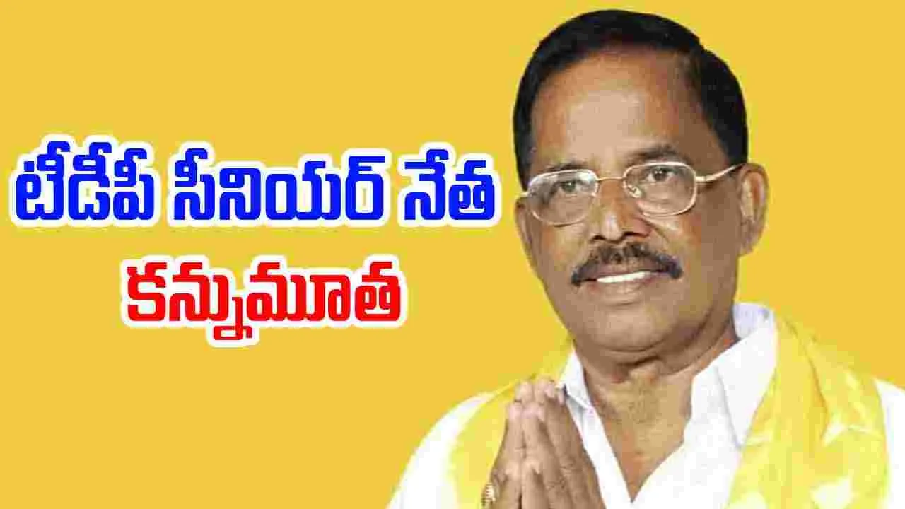 TDP: టీడీపీలో విషాదం.. మాజీ ఎంపీ కన్నుమూత