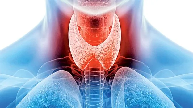 థైరాయిడి‘జంకు’