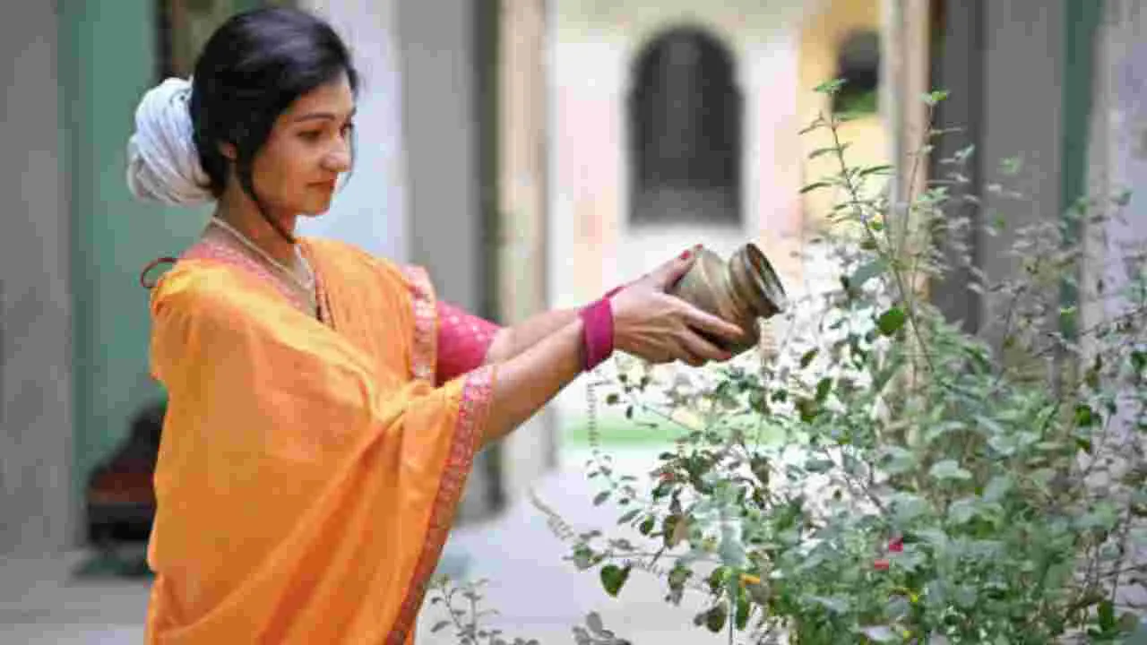 Tulsi Pooja Tips: తులసి మొక్కను పూజించేటప్పుడు ఈ తప్పులు అస్సలు చేయకండి..
