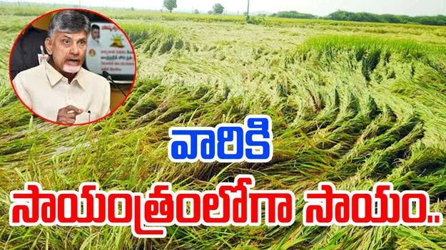 CM Chandrababu: సాయంత్రంలోగా సాయం