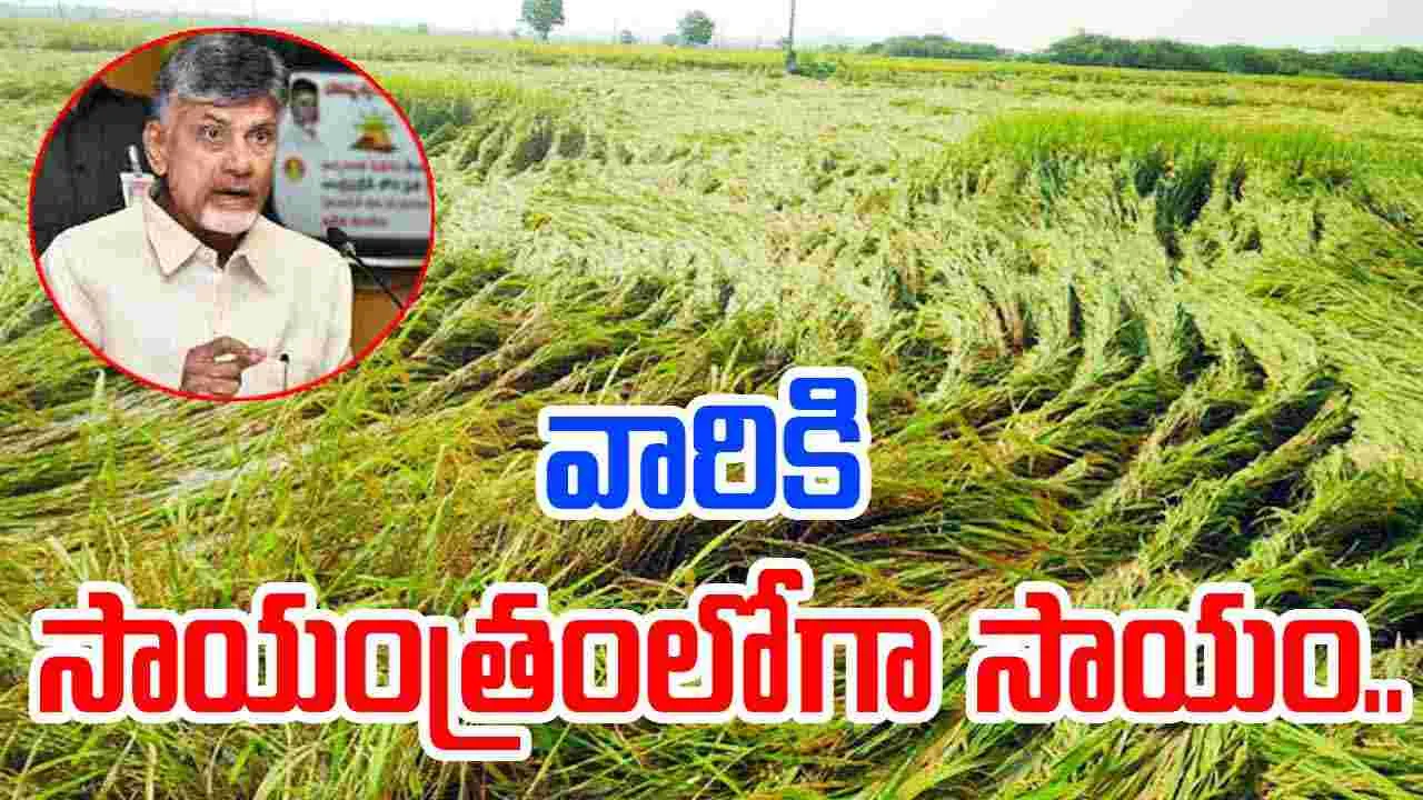CM Chandrababu: సాయంత్రంలోగా సాయం