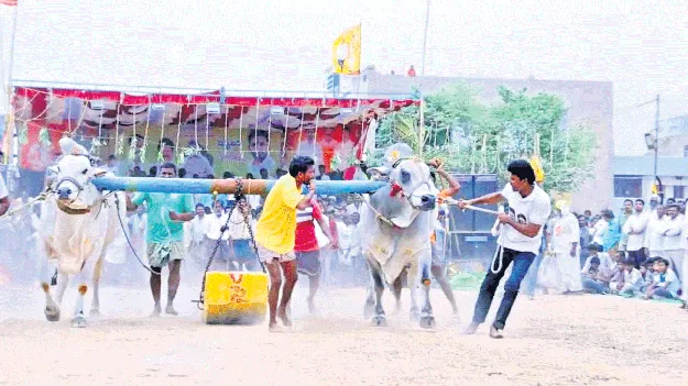 సంస్కృతి, సంప్రదాయాలకు ప్రతీక పశుప్రదర్శన 