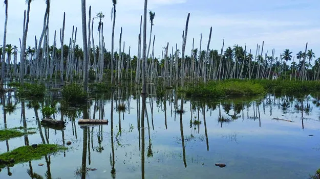 ఎగసిపడుతున్న సముద్రం..