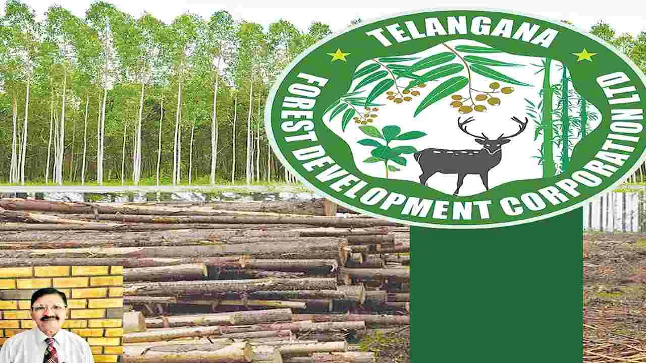 Corporation Revenue Growth: చతికిలబడ్డ సంస్థలనూ సత్సంకల్పంతో సరిదిద్దవచ్చు