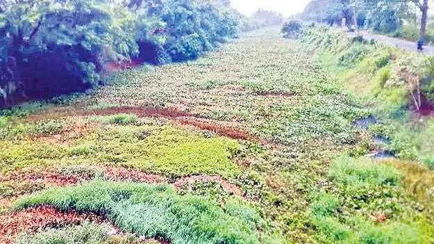 AP Irrigation Projects: మరమ్మతులు ఎప్పుడు..