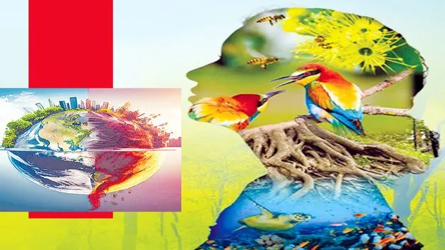  Environmental Awareness: విధ్వంసాన్ని ఆపకపోతే వినాశనమే