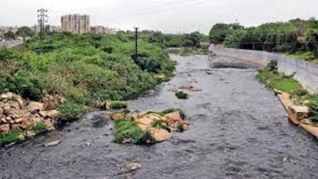 Moosi River Environmental Impact: మూసీ ప్రక్షాళన మరిచినట్టేనా