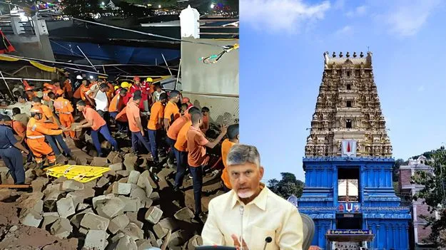 AP CM Compensation: 25 లక్షల పరిహారం