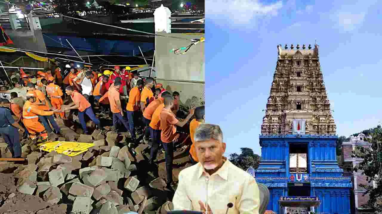 AP CM Compensation: 25 లక్షల పరిహారం