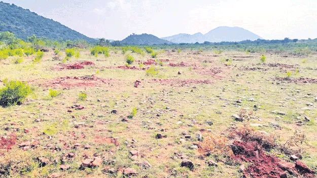 చందలూరు కొండ పోరంబోకు నకిలీ పట్టాలు రద్దు