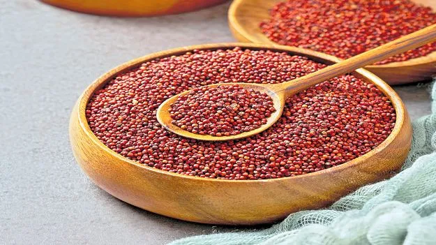 Variety Recipes: నోరూరించే రాగి రుచులు
