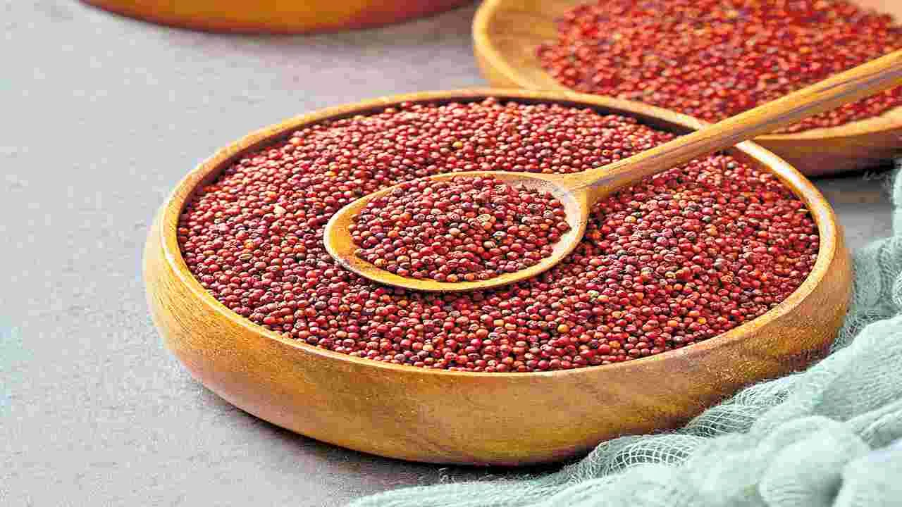Variety Recipes: నోరూరించే  రాగి రుచులు