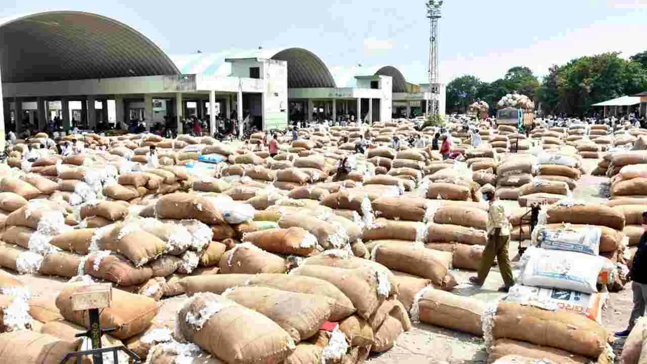 Cotton Procurement Scam: ఏఈవోలు, ఏవోల మెడకు బిగుస్తున్న ఉచ్చు