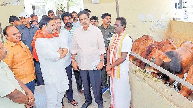 TTD chairman BR Naidu: గోవుల గడ్డీ తిన్నారు